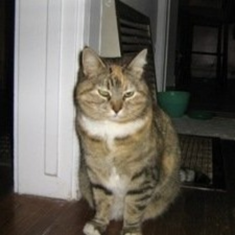 Meet your Posher, Faith